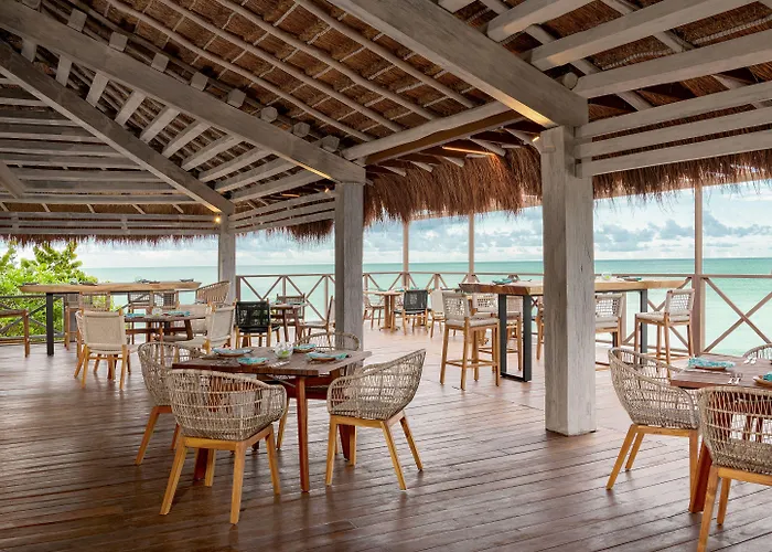 Resort Dreams & (adults Only)