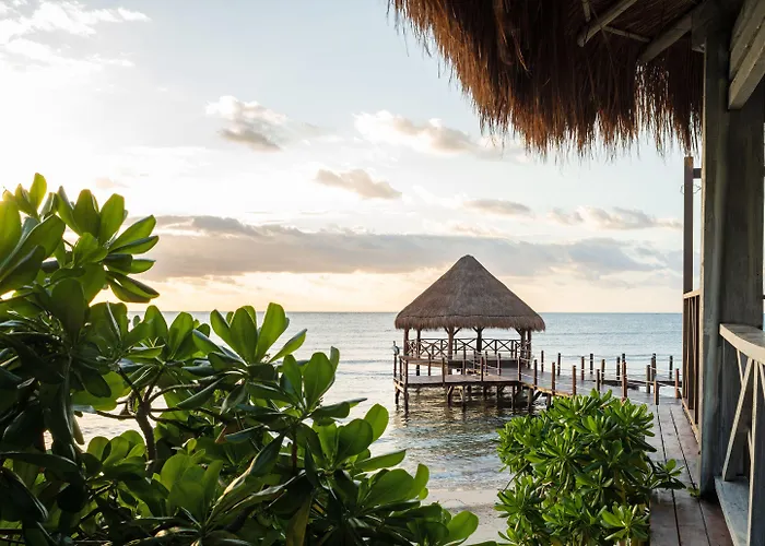 Dreams & (adults Only) Resort